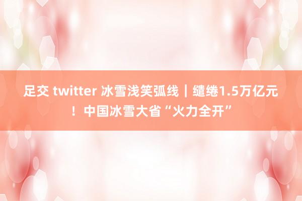 足交 twitter 冰雪浅笑弧线｜缱绻1.5万亿元！中国冰雪大省“火力全开”