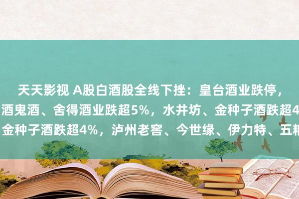 天天影视 A股白酒股全线下挫：皇台酒业跌停，天助德酒、顺鑫农业、酒鬼酒、舍得酒业跌超5%，水井坊、金种子酒跌超4%，泸州老窖、今世缘、伊力特、五粮液跌超3%
