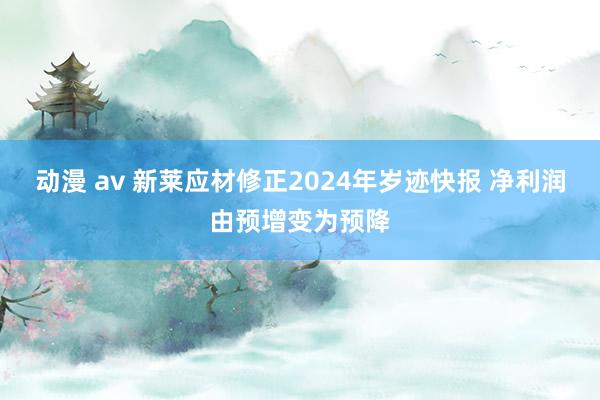 动漫 av 新莱应材修正2024年岁迹快报 净利润由预增变为预降