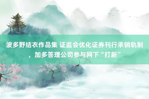 波多野结衣作品集 证监会优化证券刊行承销轨制，加多答理公司参与网下“打新”