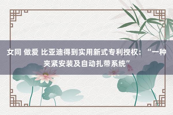 女同 做爱 比亚迪得到实用新式专利授权：“一种夹紧安装及自动扎带系统”