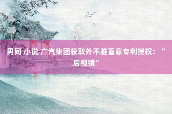 男同 小说 广汽集团获取外不雅蓄意专利授权：“后视镜”