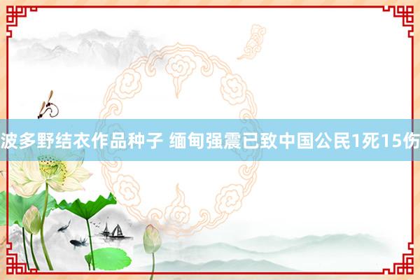 波多野结衣作品种子 缅甸强震已致中国公民1死15伤