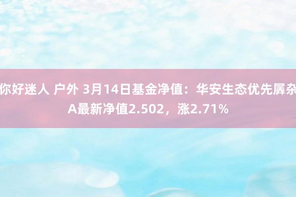 你好迷人 户外 3月14日基金净值：华安生态优先羼杂A最新净值2.502，涨2.71%