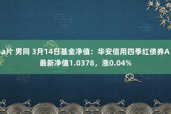 a片 男同 3月14日基金净值：华安信用四季红债券A最新净值1.0378，涨0.04%
