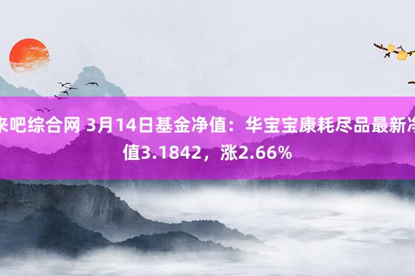 来吧综合网 3月14日基金净值：华宝宝康耗尽品最新净值3.1842，涨2.66%