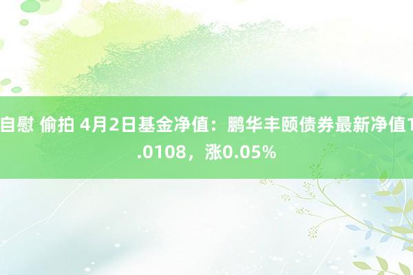 自慰 偷拍 4月2日基金净值：鹏华丰颐债券最新净值1.0108，涨0.05%