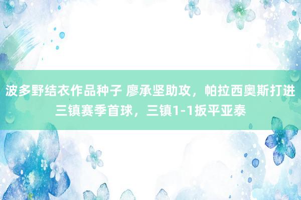 波多野结衣作品种子 廖承坚助攻，帕拉西奥斯打进三镇赛季首球，三镇1-1扳平亚泰