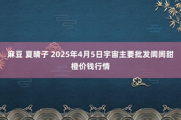 麻豆 夏晴子 2025年4月5日宇宙主要批发阛阓甜橙价钱行情