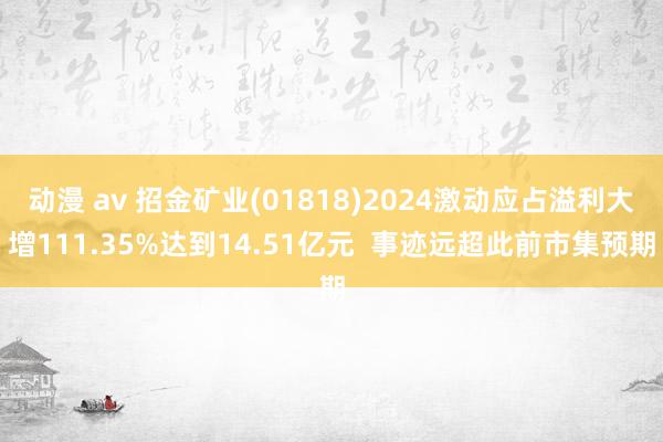 动漫 av 招金矿业(01818)2024激动应占溢利大增111.35%达到14.51亿元  事迹远超此前市集预期