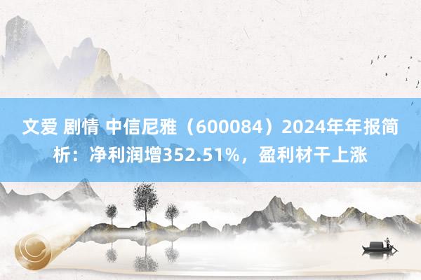 文爱 剧情 中信尼雅（600084）2024年年报简析：净利润增352.51%，盈利材干上涨