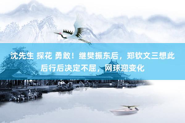 沈先生 探花 勇敢！继樊振东后，郑钦文三想此后行后决定不屈，网球迎变化