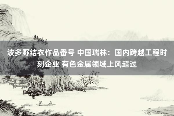 波多野结衣作品番号 中国瑞林：国内跨越工程时刻企业 有色金属领域上风超过