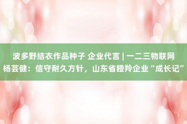 波多野结衣作品种子 企业代言 | 一二三物联网杨芸健：信守耐久方针，山东省瞪羚企业“成长记”