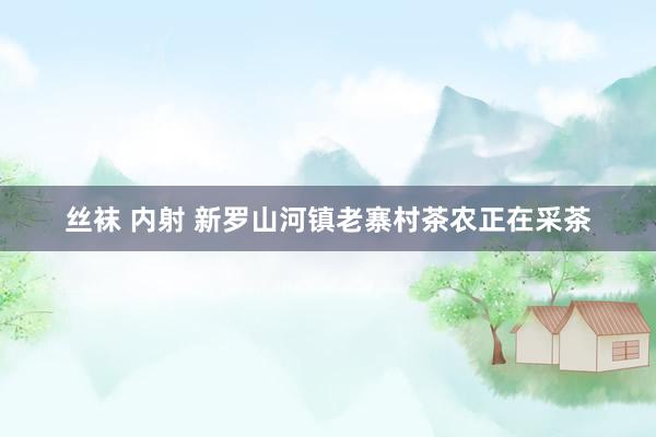 丝袜 内射 新罗山河镇老寨村茶农正在采茶