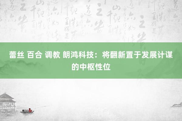 蕾丝 百合 调教 朗鸿科技：将翻新置于发展计谋的中枢性位