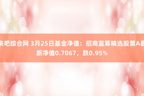 来吧综合网 3月25日基金净值：招商蓝筹精选股票A最新净值0.7067，跌0.95%
