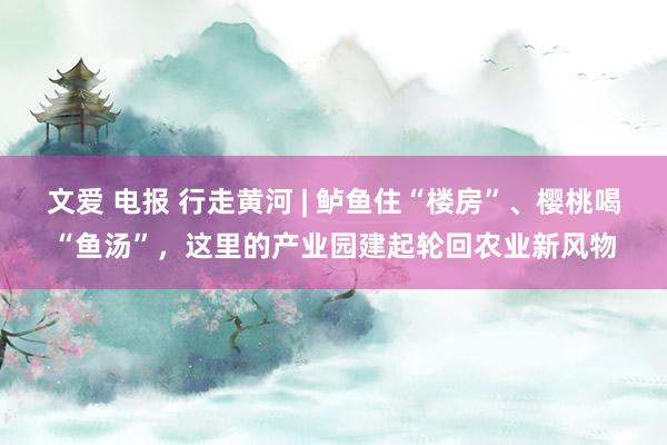 文爱 电报 行走黄河 | 鲈鱼住“楼房”、樱桃喝“鱼汤”，这里的产业园建起轮回农业新风物