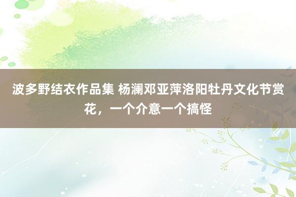 波多野结衣作品集 杨澜邓亚萍洛阳牡丹文化节赏花，一个介意一个搞怪
