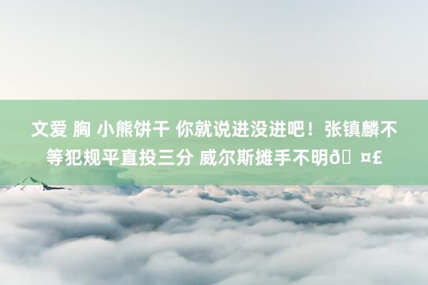 文爱 胸 小熊饼干 你就说进没进吧！张镇麟不等犯规平直投三分 威尔斯摊手不明🤣