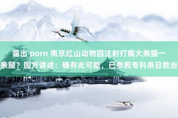 露出 porn 南京红山动物园注射打瘸大熊猫一条腿？园方讲述：确有此可能，已参照专科条目救治