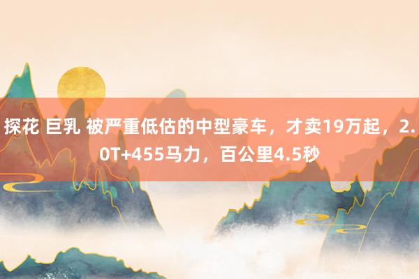 探花 巨乳 被严重低估的中型豪车，才卖19万起，2.0T+455马力，百公里4.5秒