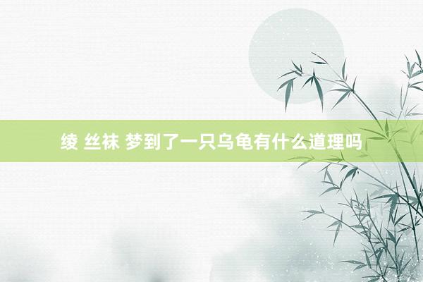 绫 丝袜 梦到了一只乌龟有什么道理吗