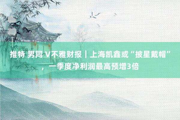 推特 男同 V不雅财报｜上海凯鑫或“披星戴帽”，一季度净利润最高预增3倍