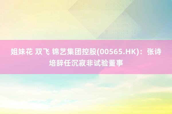 姐妹花 双飞 锦艺集团控股(00565.HK)：张诗培辞任沉寂非试验董事
