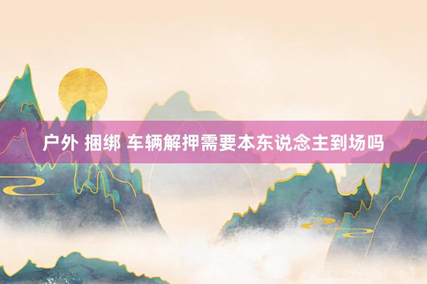 户外 捆绑 车辆解押需要本东说念主到场吗