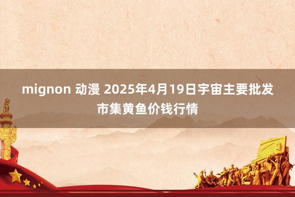 mignon 动漫 2025年4月19日宇宙主要批发市集黄鱼价钱行情