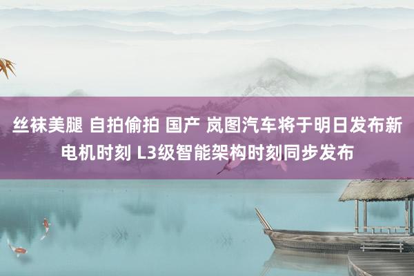 丝袜美腿 自拍偷拍 国产 岚图汽车将于明日发布新电机时刻 L3级智能架构时刻同步发布