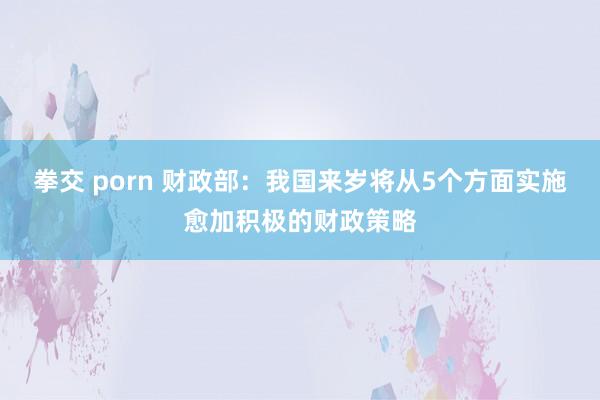 拳交 porn 财政部：我国来岁将从5个方面实施愈加积极的财政策略