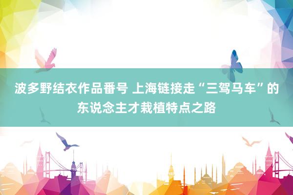 波多野结衣作品番号 上海链接走“三驾马车”的东说念主才栽植特点之路