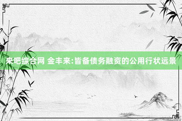 来吧综合网 金丰来:皆备债务融资的公用行状远景