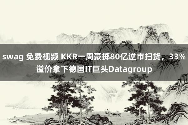 swag 免费视频 KKR一周豪掷80亿逆市扫货，33%溢价拿下德国IT巨头Datagroup