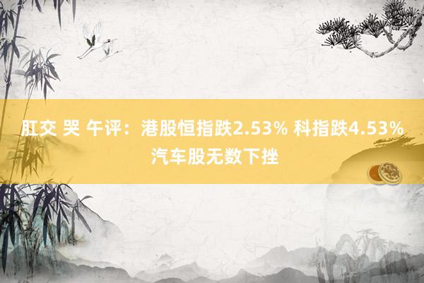 肛交 哭 午评：港股恒指跌2.53% 科指跌4.53% 汽车股无数下挫