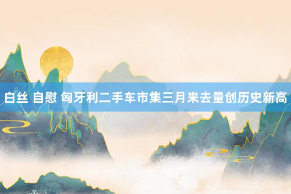 白丝 自慰 匈牙利二手车市集三月来去量创历史新高