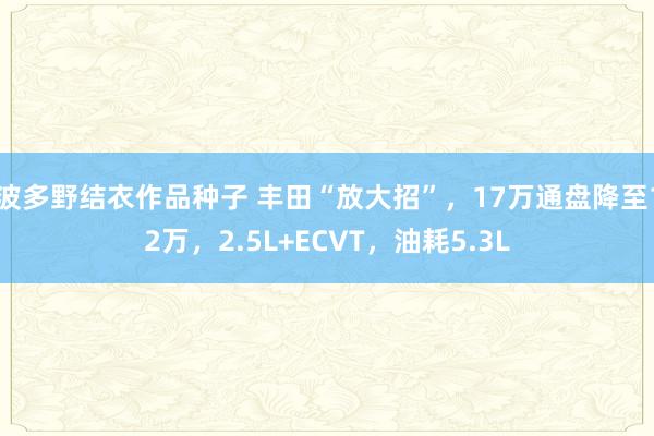 波多野结衣作品种子 丰田“放大招”，17万通盘降至12万，2.5L+ECVT，油耗5.3L