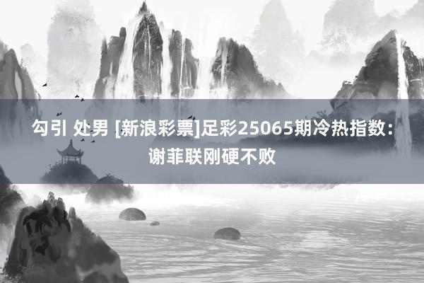 勾引 处男 [新浪彩票]足彩25065期冷热指数：谢菲联刚硬不败